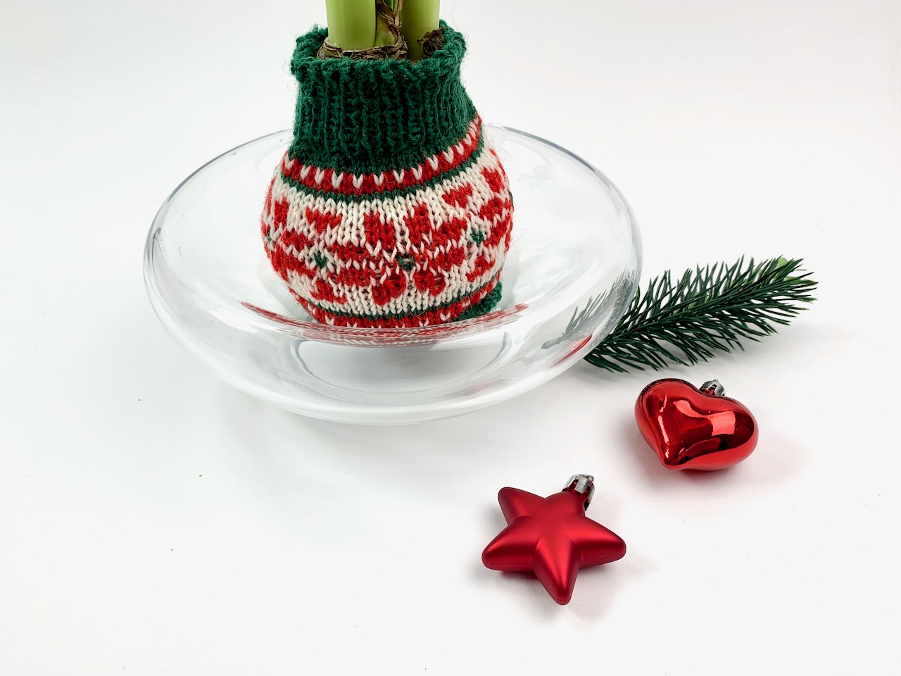 Hülle für Amaryllis in Wachs