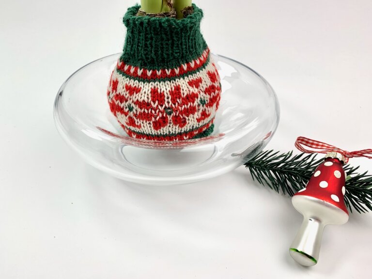 Hülle für Amaryllis in Wachs Strickanleitung
